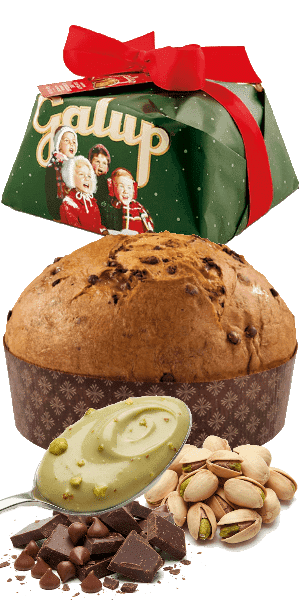 Panettone con gocce di cioccolato fondente, farcito Pistacchio 900g Galup