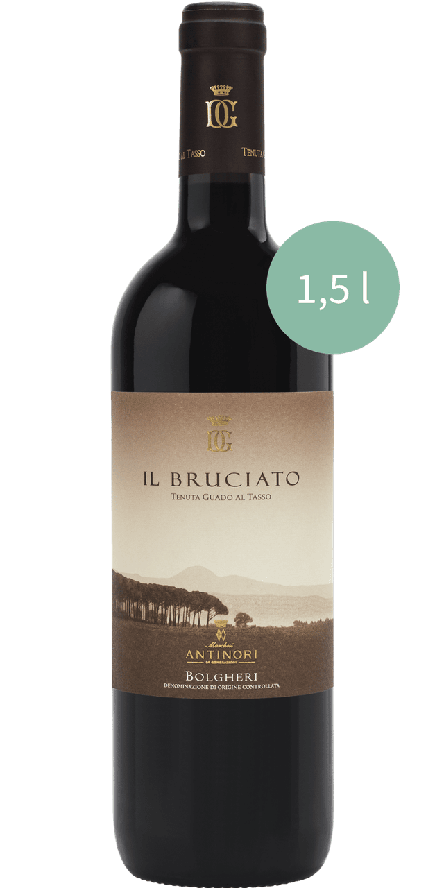 Il Bruciato Bolgheri Rosso DOC Antinori - 1,5 L / 2023