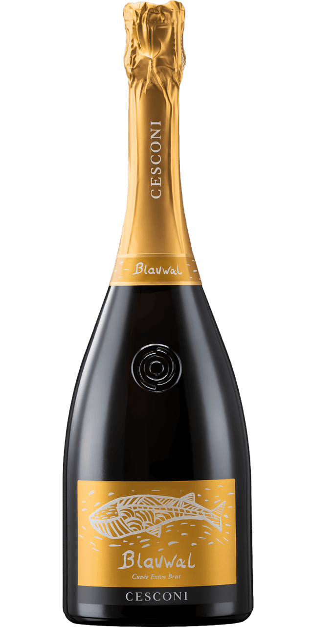 Cesconi Trento DOC Spumante Blauwal - 0,75 L