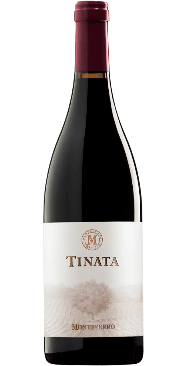 Tinata Toscana Rosso IGT Tenuta Monteverro - 0,75 L / 2019