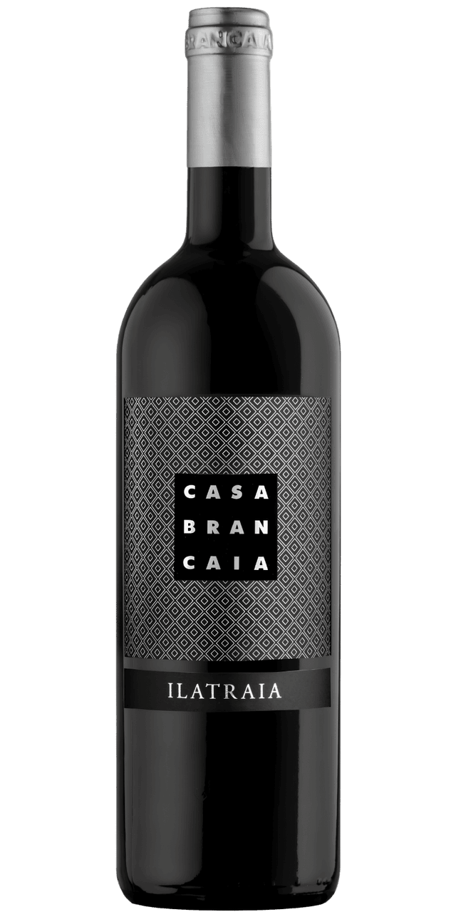 Ilatraia Toscana Rosso IGT - Brancaia Ilatraia Toscana Rosso IGT - Brancaia