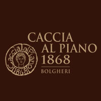 Logo Caccia al Piano