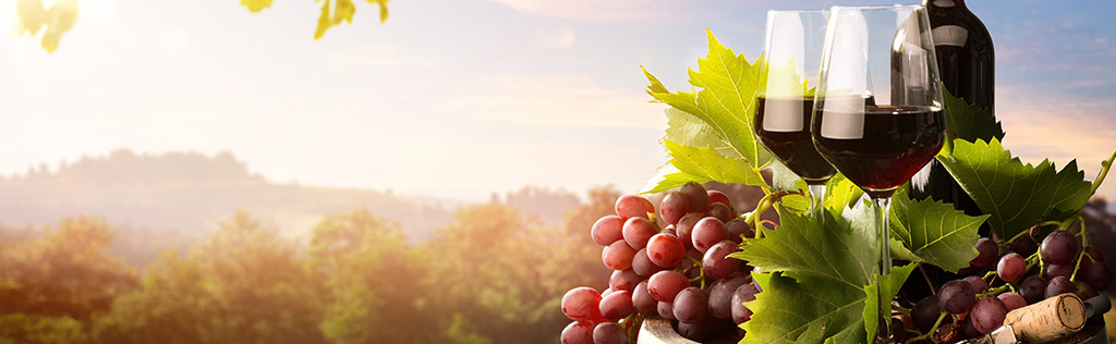 Barolo-Wein-1
