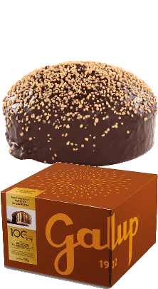 Galup Panettone gefüllt mit Gianduja Creme