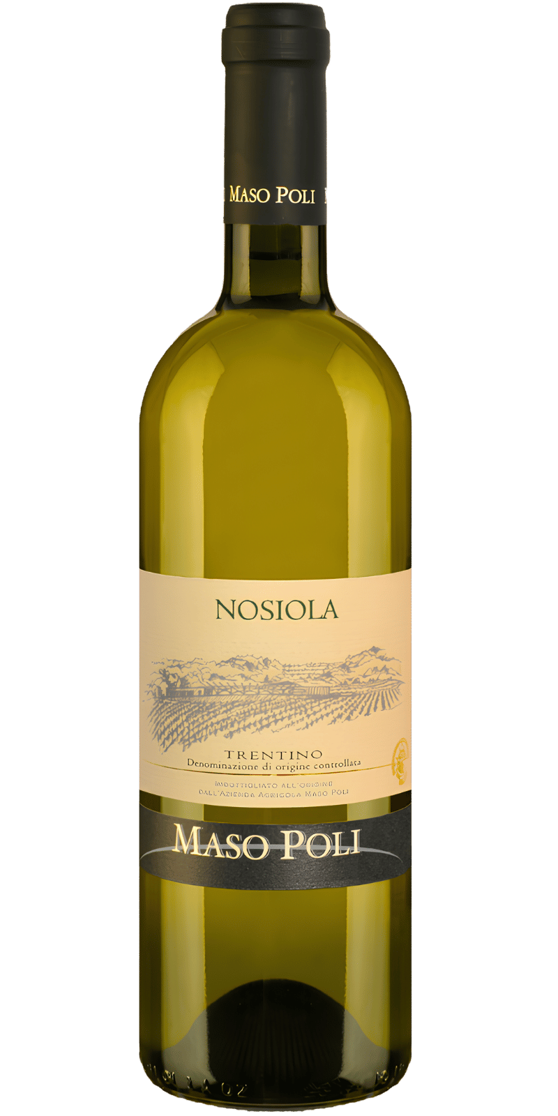 Nosiola Trentino DOC - Maso Poli - 0,75 L / 2024 Nosiola Trentino DOC - Maso Poli - 0,75 L / 2024