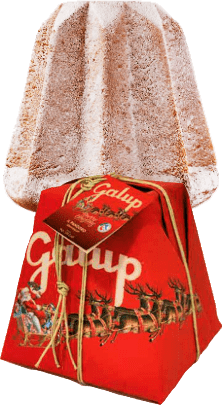 Pandoro Classico Galup - 1 kg