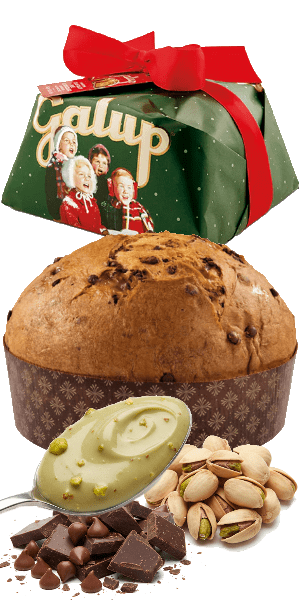 Panettone mit dunkler Schokolade und gefüllt mit Pistaziencreme 900g Galup - 900 g