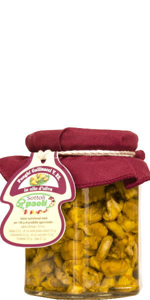 Sottolio Paolo Funghi Finferli Gallinacci Pfifferlinge