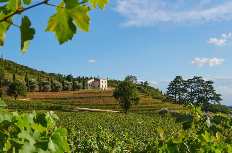 Amarone Gebiet Titelbild