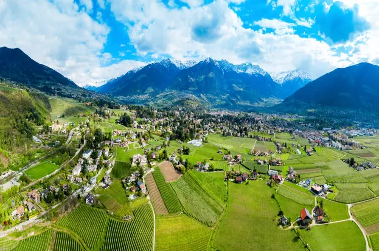 Edelvernatsch – der traditionelle Rotwein Südtirols 17 Edelvernatsch Meran