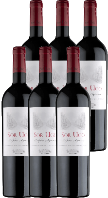 Sor Ugo Bolgheri Rosso Superiore DOC Aia Vecchia 6er Paket