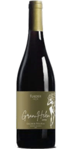 Alto Adige Lagrein DOC Riserva Fliederhof