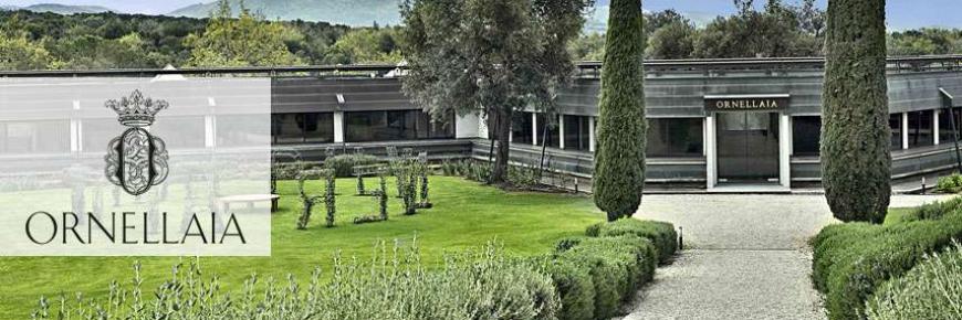 ORN copertina 856x525 1