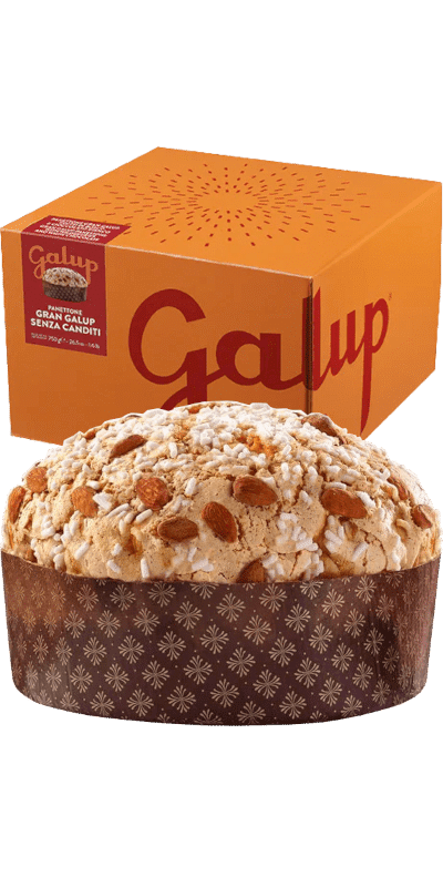 Galup Panettone Gran Galup senza Canditi 750g 1 Galup Panettone Gran Galup senza Canditi 750g
