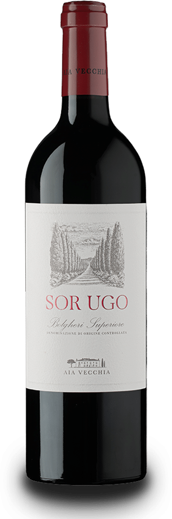 Sor Ugo Bolgheri Rosso Superiore DOC Aia Vecchia