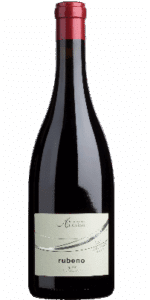 Alto Adige Lagrein DOC Rubeno Cantina Andrian