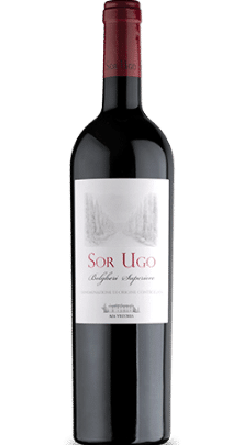 Sor Ugo Bolgheri Rosso Superiore DOC Magnum Aia Vecchia