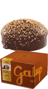 Galup Panettone gefüllt mit Gianduja Creme