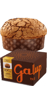 Panettone Gocce di Cioccolato Galup