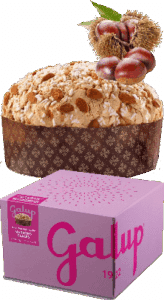 Panettone Gran Galup Marrons Glaces Galup 1kg