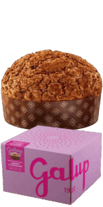 Galup Panettone Himbeere und Schokolade
