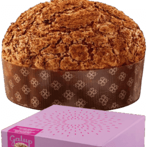 Galup Panettone Himbeere und Schokolade