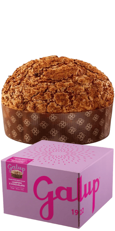 Galup Panettone Gran Galup Lampone e Cioccolato 750g